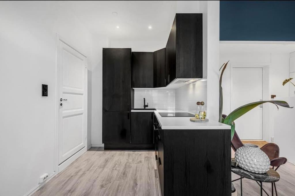 Newly Renovated - Oslo Downtown Appartement Buitenkant foto