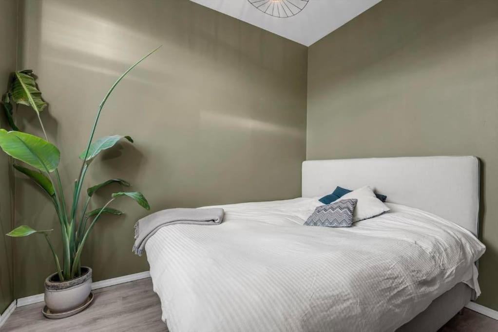 Newly Renovated - Oslo Downtown Appartement Buitenkant foto