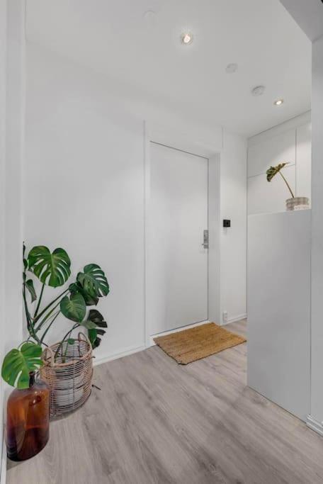 Newly Renovated - Oslo Downtown Appartement Buitenkant foto